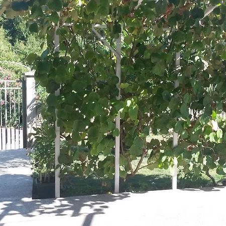 Apartment Villa Dobrijevic -Seljanovo Τίβατ Εξωτερικό φωτογραφία