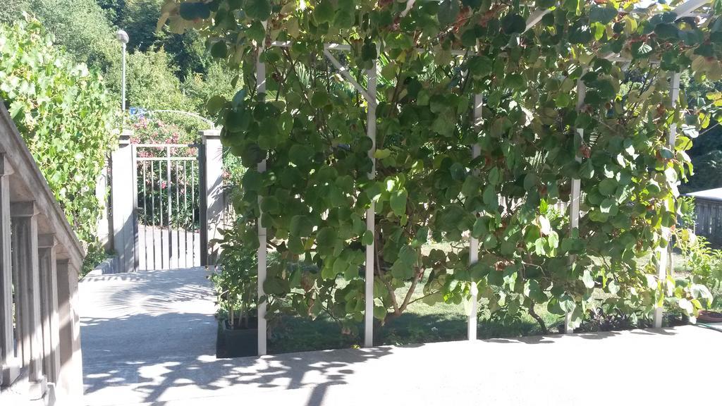 Apartment Villa Dobrijevic -Seljanovo Τίβατ Εξωτερικό φωτογραφία